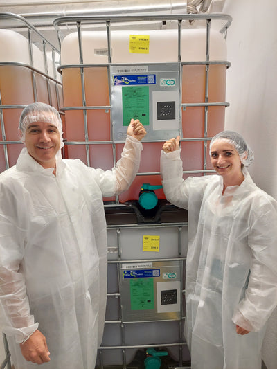 More about our ingredients