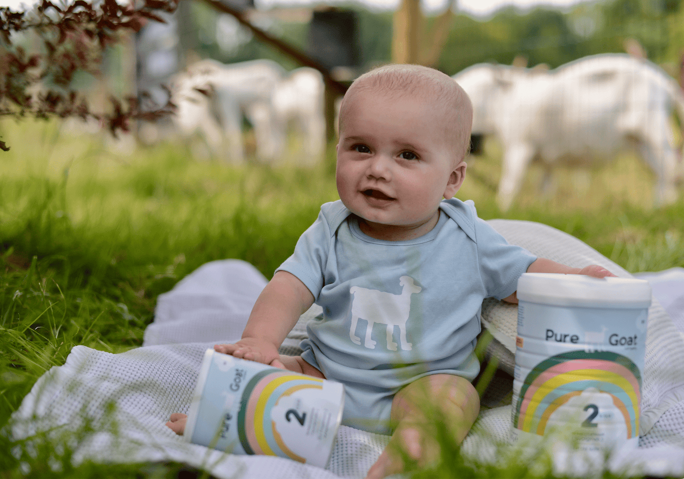 Flesvoeding schema voor je kind