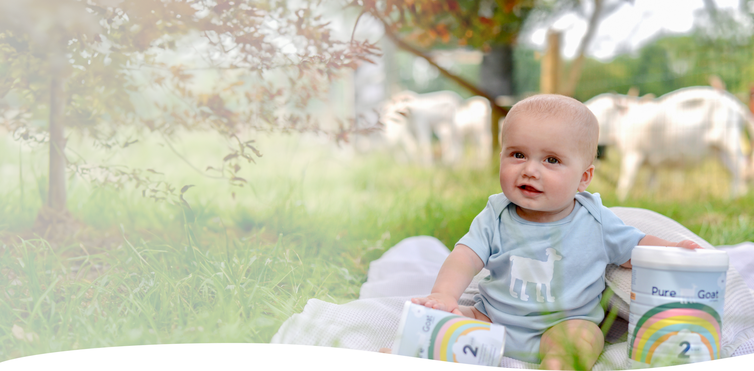 Baby zit op een dekentje met geiten op de achtergrond en met blikken van Pure Goat 